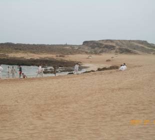 Widok