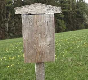 Lehrpfad Bäume des Jahres