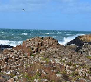 Giants's Causeway