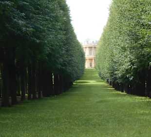 Schlosspark Sanssouci