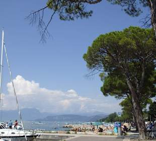 Lazise