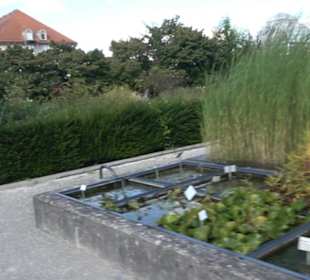 Schmuckhof Botanischer Garten