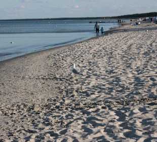 Strand PUR bis nach Glowe