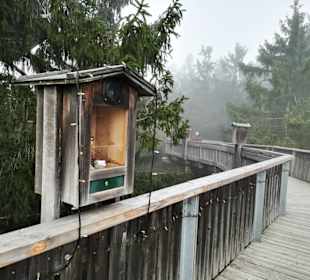 Der Vogelpfad