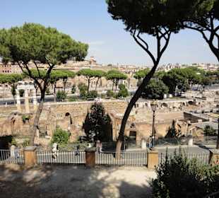 Forum Romanum