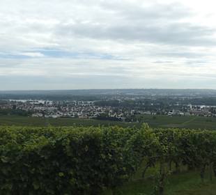 Wanderung Geisenheim