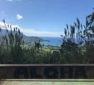 Okolehao Hiking Trailhead, Aussicht auf Hanalei Ba