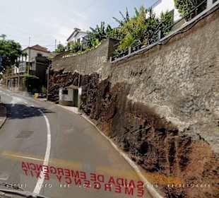 #1354 Yellow Bus hellblau Madeira-Camara de Lobos.