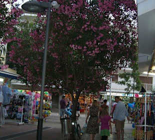 Spaziergang durch die Einkaufsstraßen