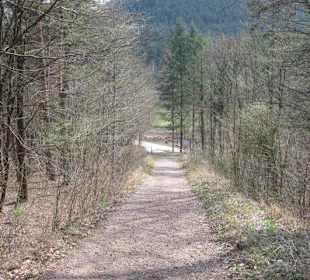 Weg zur Burg