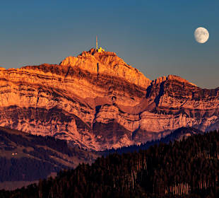 Wandern Schwellbrunn