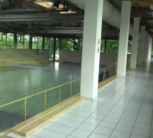 Kuckucks-Halle Haiterbach