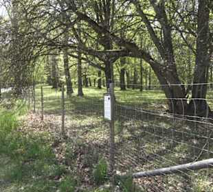 Wanderweg Hochgehwachsen