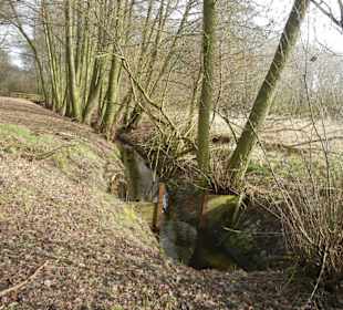 Naturschutzgebiet Boberger Niederung