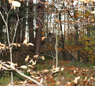 Unterwegs gibt es viel zu entdecken