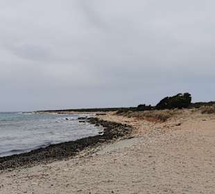 Wandern Didim