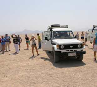 Wycieczka na pustynię!