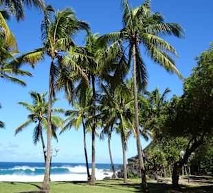Impressionen von der Grand Anse