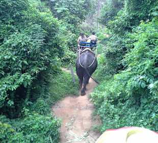 Jazda na sloniu na wycieczce fak.