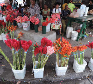 Auf dem Markt von Suva