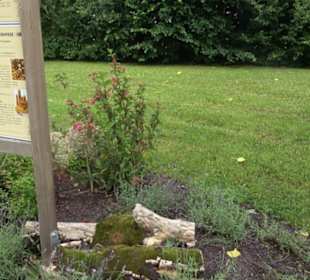 Blühendes Neresheim 2021