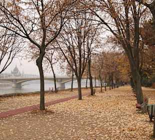 Wyspa Świętej Małgorzaty