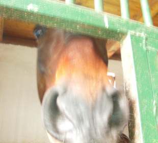 Was guckst du denn so...?