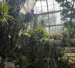 Botanischer Garten in Washington 