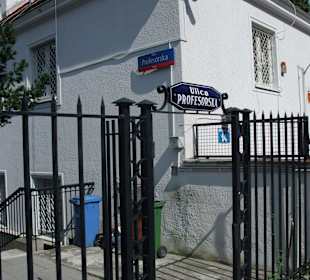 Ulica Profesorska