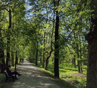 Park