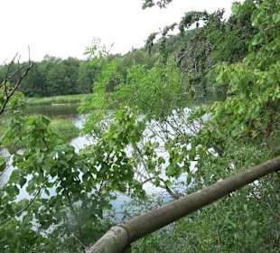 Wanderrunde Emeringen zum Rechtenstein