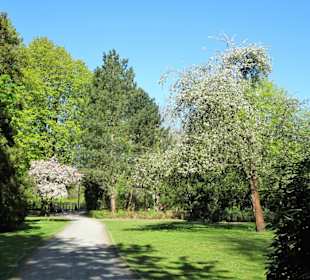 Eindrücke aus dem Braunschweiger Bürgerpark