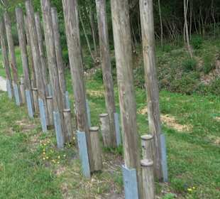 Barfußpfad Tieringen