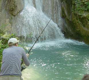 Schneller Fischfang