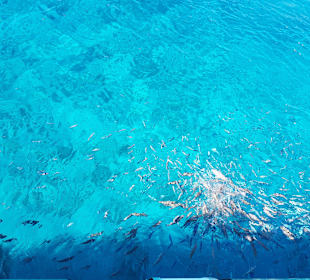 Katamaran Tour Playa de Esquinzo