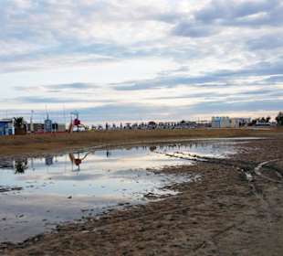 Hinterer Strandbereich