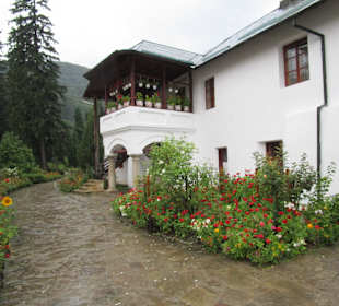 Mănăstirea Cozia