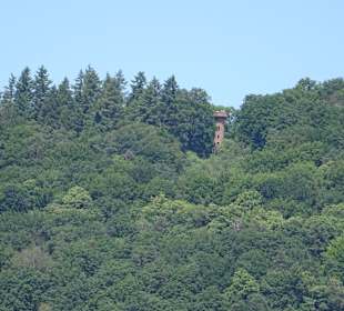 Schloss Heidelberg Ein- und Ausblicke