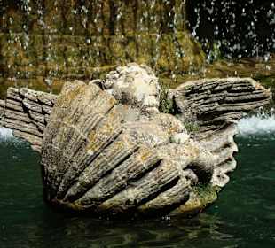 Der Engel in der Muschel