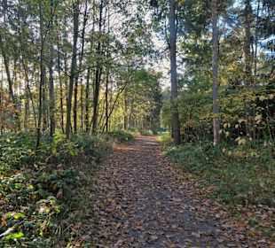 Herbstspaziergang durch den Bürgerpark Bremerhaven