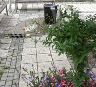 Kunst- und Sinnespfad