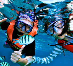 Schnorcheln Dibba