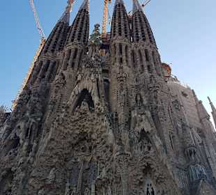 Katedra Sagrada Familia