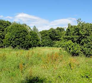 Impressionen aus dem Oslebshauser Park