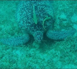 Blue Hole Aqua Center Hotel Menaville