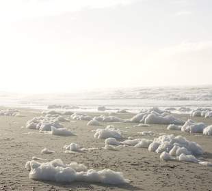 Sandstrand 