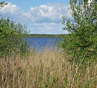 Impressionen vom Bederkesaer See