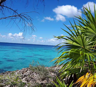 Ausblick Schweinebucht