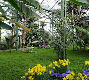 Wilhelma Stuttgart