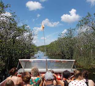 Airboat Tour Everglades NP